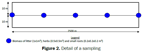 botanical-sciences-Detail-sampling