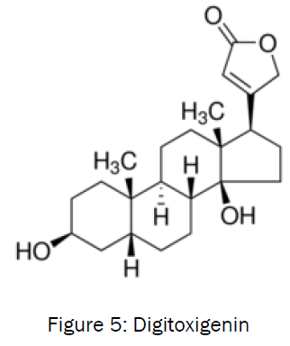 botanical-sciences-Digitoxigenin