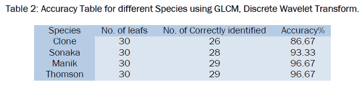 botanical-sciences-Discrete-Wavelet