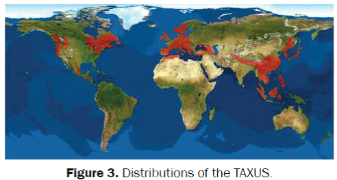 Distributions-AXUS