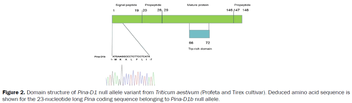 botanical-sciences-Domain-structure