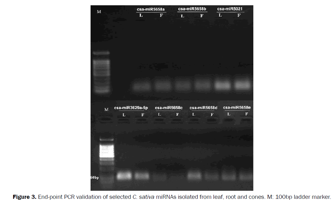 botanical-sciences-End-point-validation-isolated