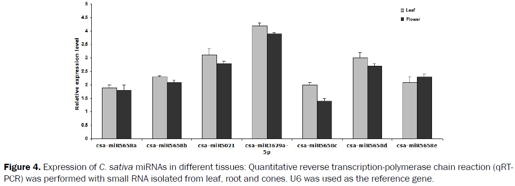 botanical-sciences-Expression-transcription-polymerase