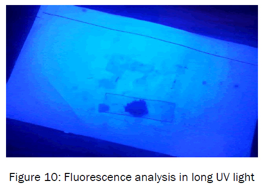 botanical-sciences-Florescence-long-UV-light