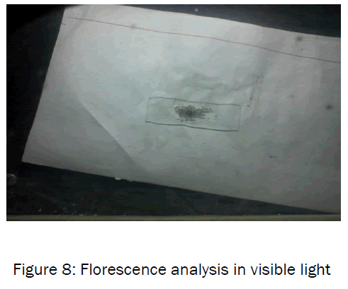 botanical-sciences-Florescence-visible-light