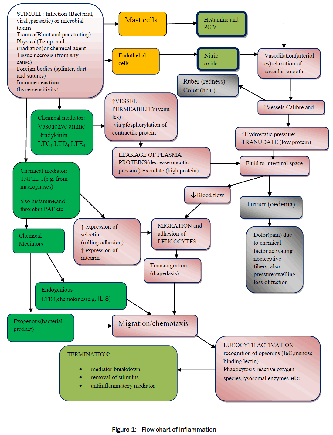 botanical-sciences-Flow-chart-inflammation