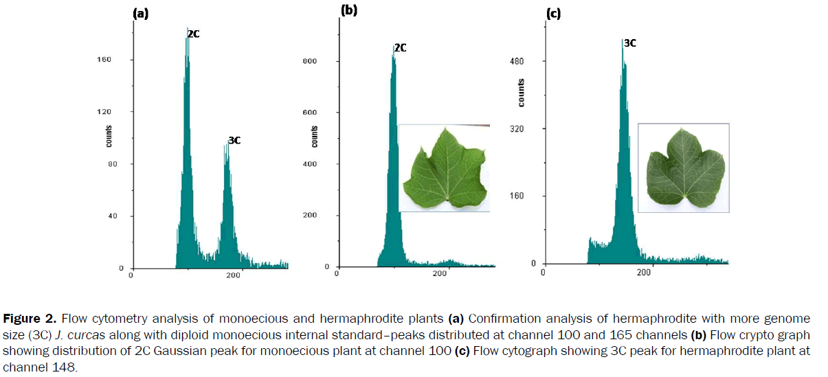 botanical-sciences-Flow-cytometry