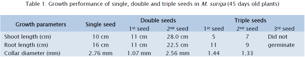 botanical-sciences-Growth-single-triple