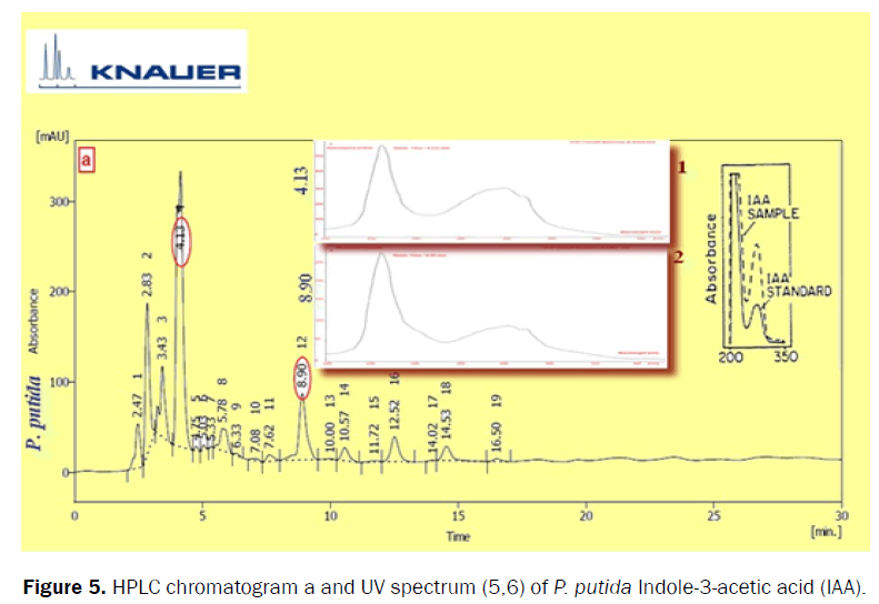 botanical-sciences-HPLC-chromatogram