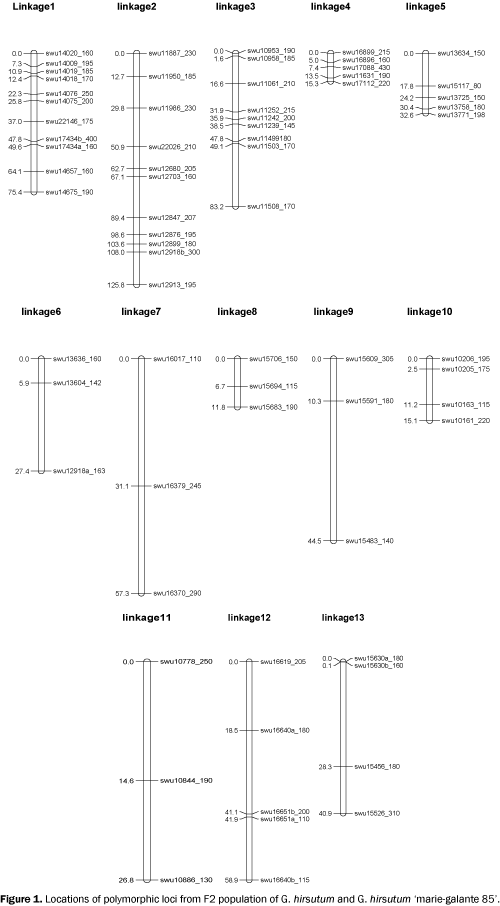 Locations-polymorphic-population