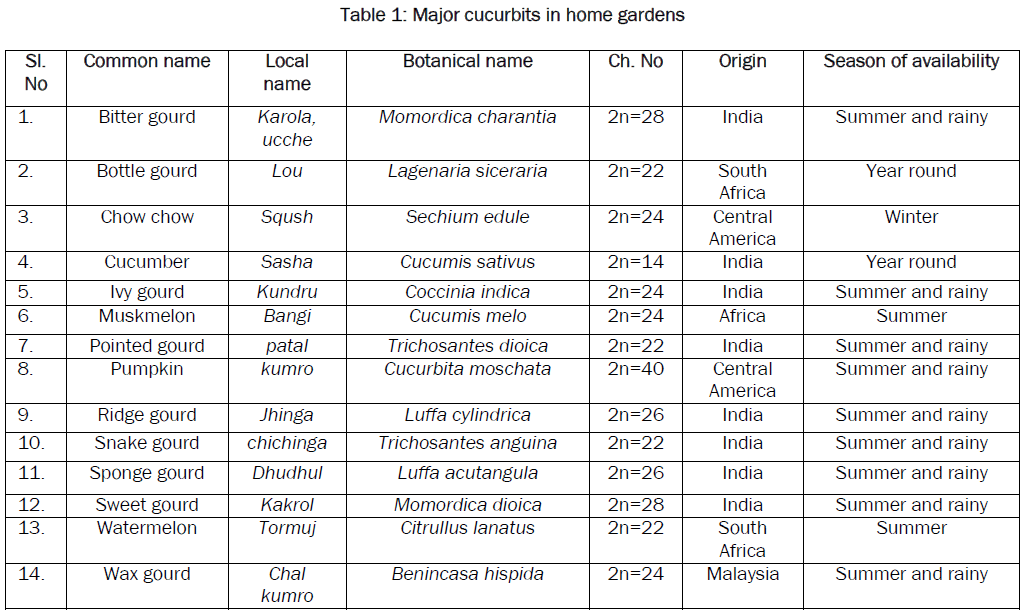 botanical-sciences-Major-cucurbits