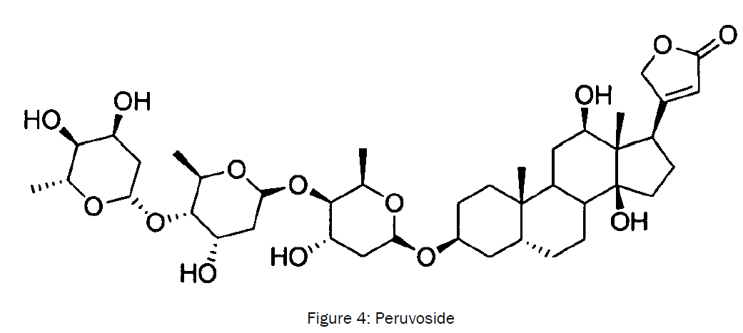 botanical-sciences-Peruvoside