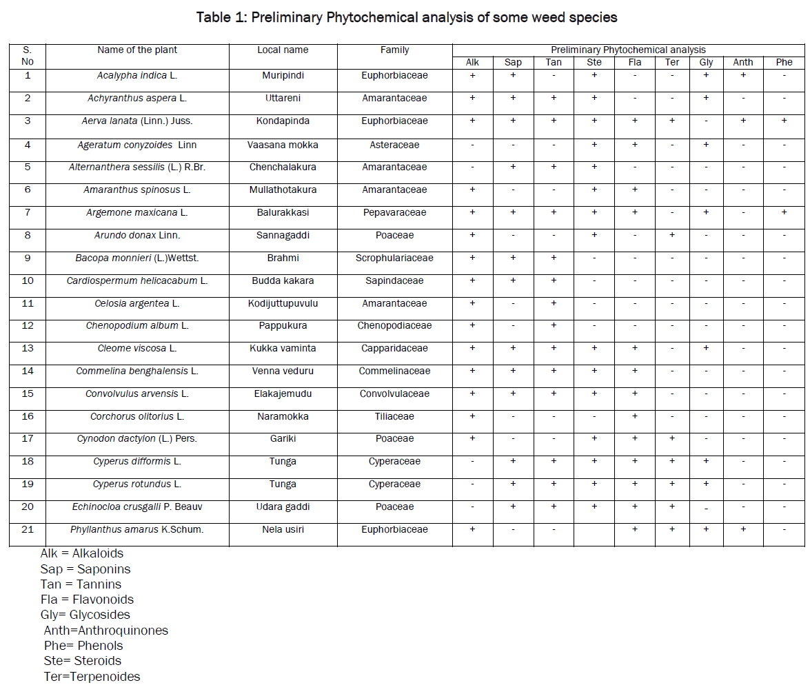 botanical-sciences-Preliminary-Phytochemical-weed