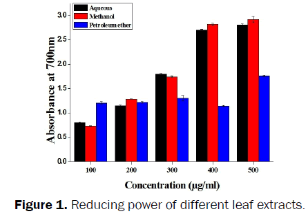 botanical-sciences-Reducing-different-leaf