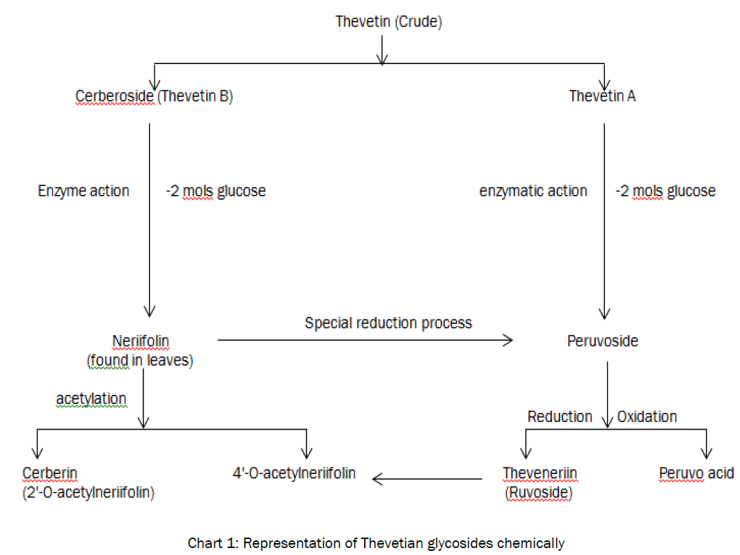 botanical-sciences-Representation-Thevetian-glycosides