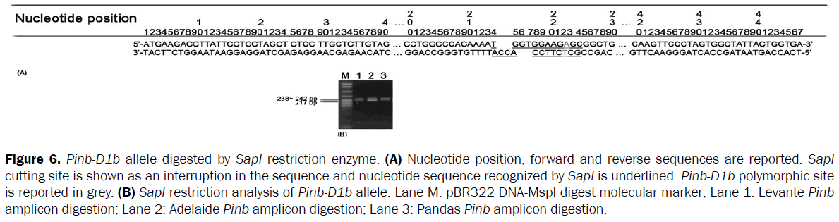 botanical-sciences-SapI-restriction