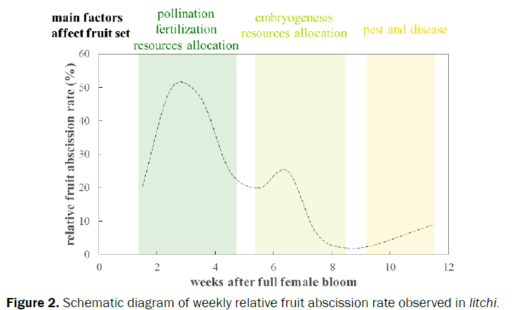 botanical-sciences-Schematic-diagram