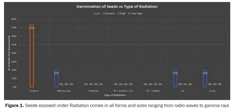 botanical-sciences-Seeds-exposed