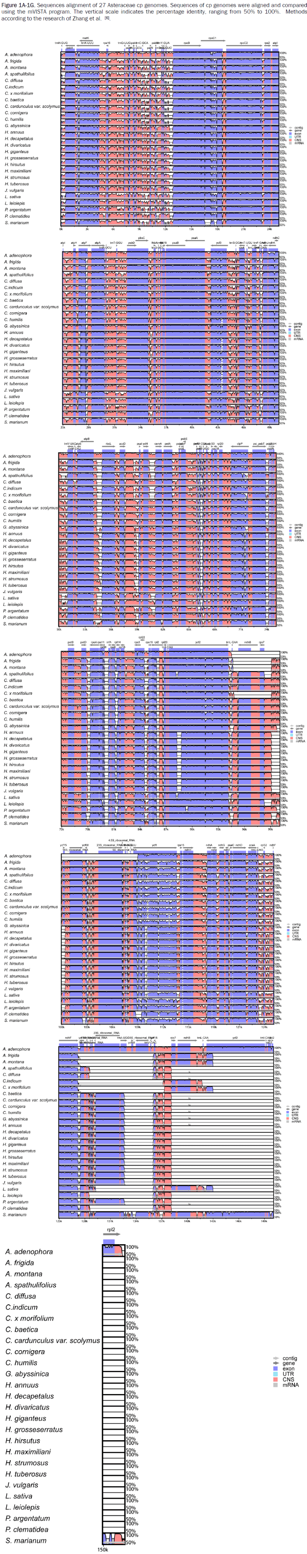 botanical-sciences-Sequences-alignment