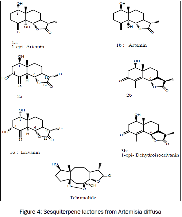 botanical-sciences-Sesquiterpene-lactones