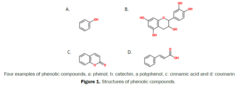 botanical-sciences-Structures-phenolic-compounds