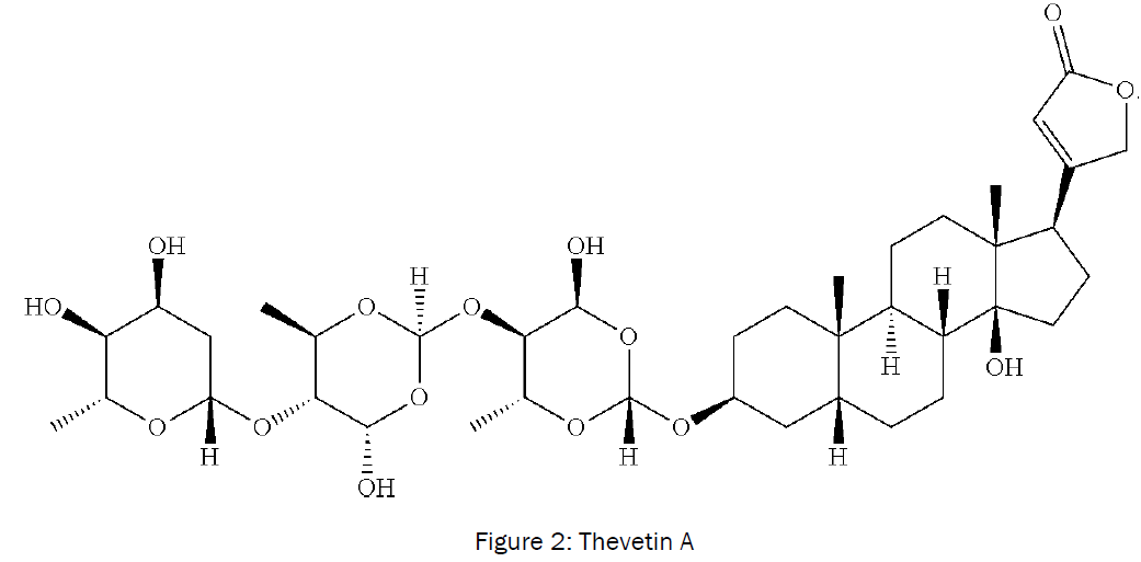 botanical-sciences-Thevetin