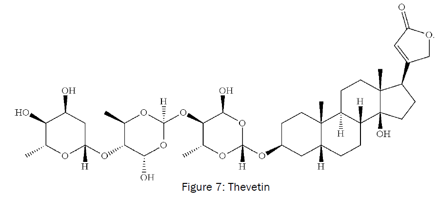 botanical-sciences-Thevetin