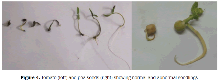 botanical-sciences-abnormal-seedlings