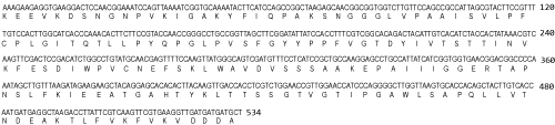 botanical-sciences-amino-acid