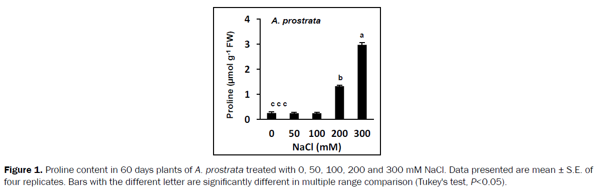 botanical-sciences-amino-acid-Proline-content