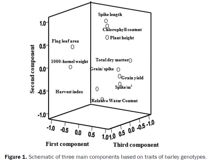 botanical-sciences-barley-genotypes