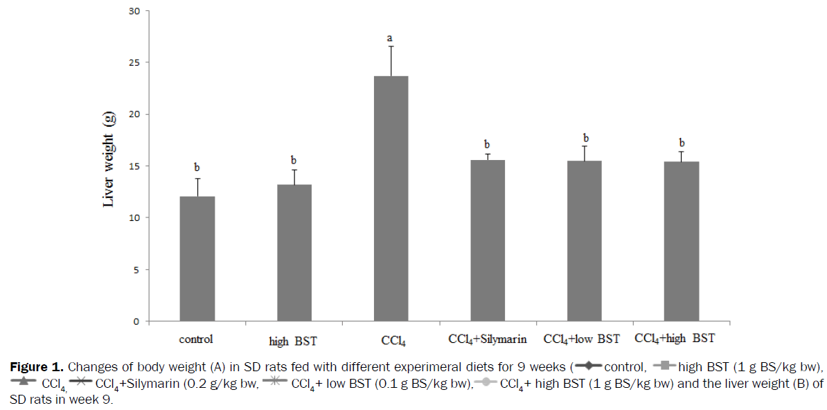 botanical-sciences-body-weight