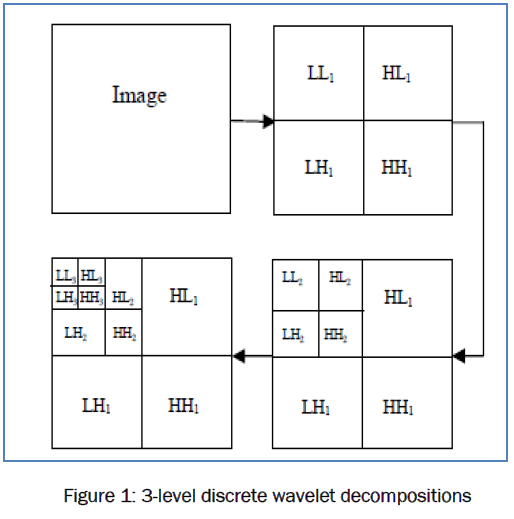 botanical-sciences-discrete-wavelet