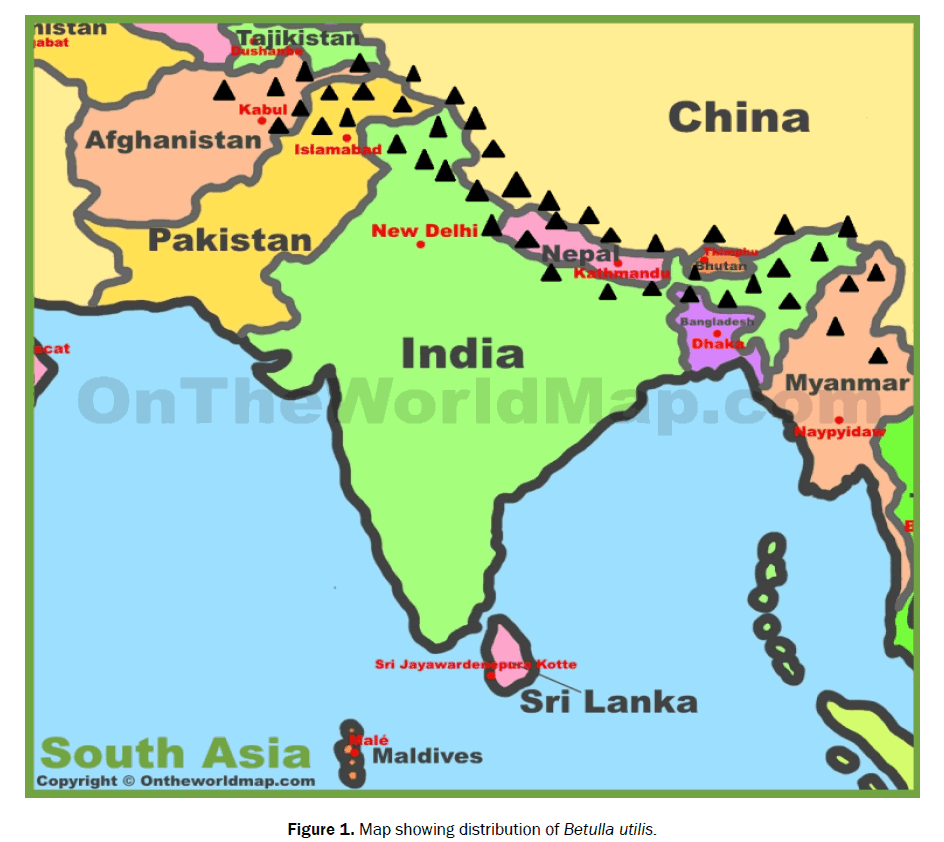 botanical-sciences-distribution