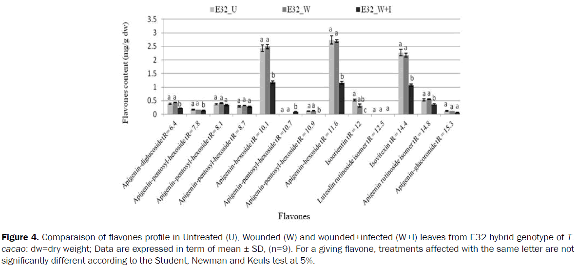 botanical-sciences-dry-weight