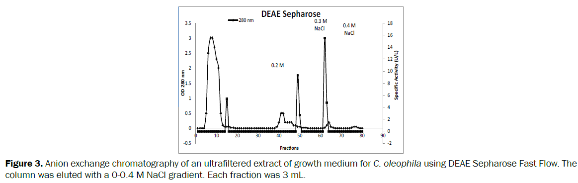 botanical-sciences-exchange-chromatography