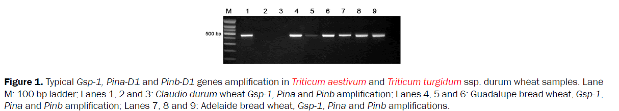 botanical-sciences-genes-amplification