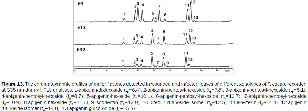 botanical-sciences-major-flavones