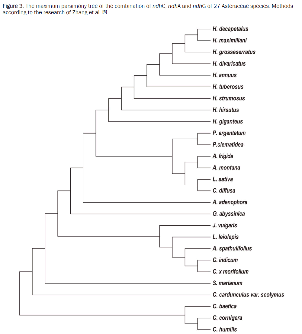 botanical-sciences-maximum-parsimony