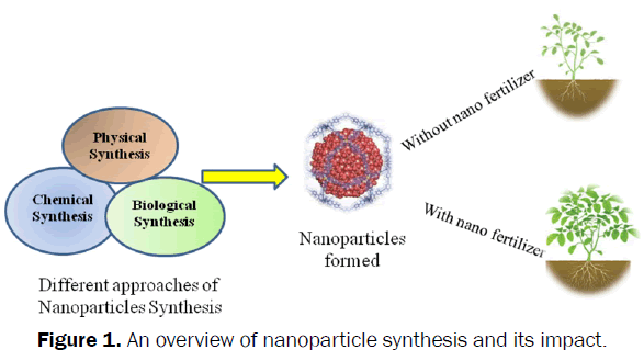 botanical-sciences-nanoparticle-synthesis