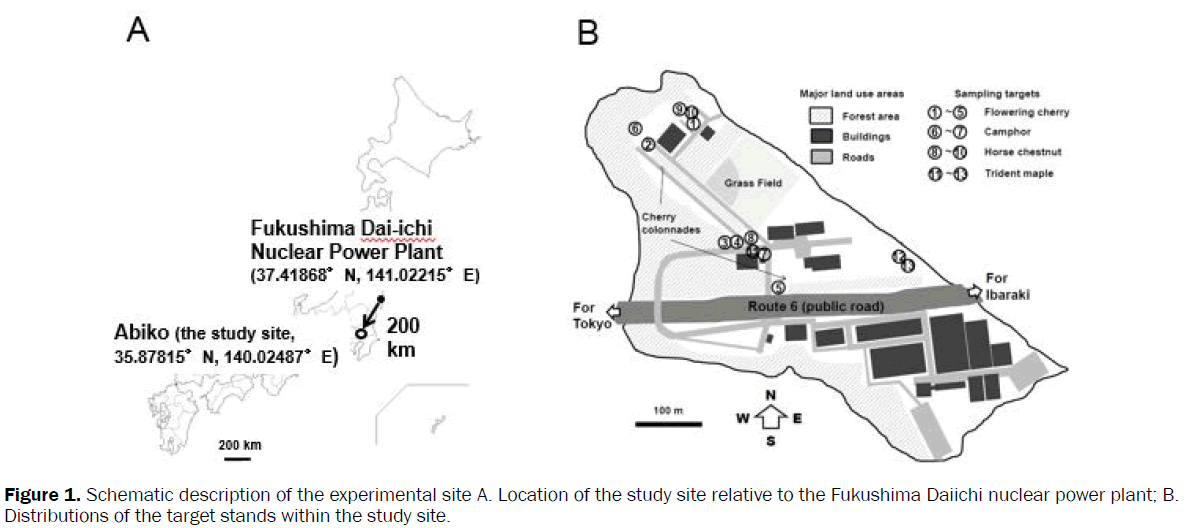 botanical-sciences-nuclear-power-plant