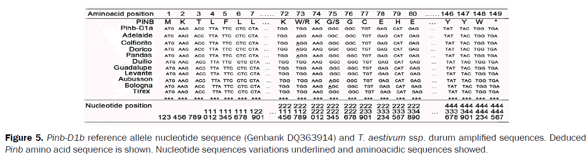 botanical-sciences-nucleotide-sequence