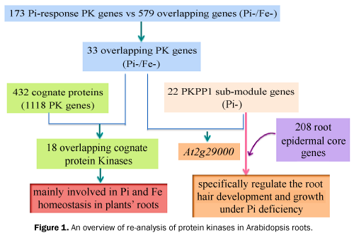 overview-re-analysis-Arabidopsis