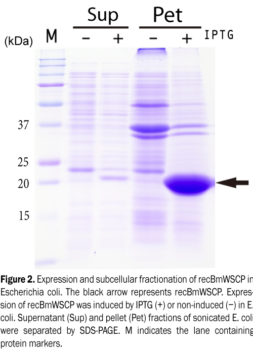 botanical-sciences-protein-markers