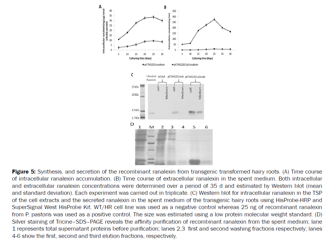 botanical-sciences-recombinant-ranalexin-transgenic