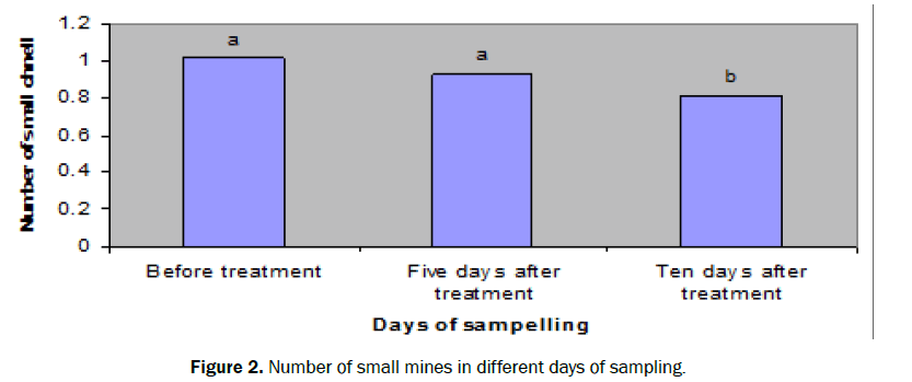 botanical-sciences-small-mines