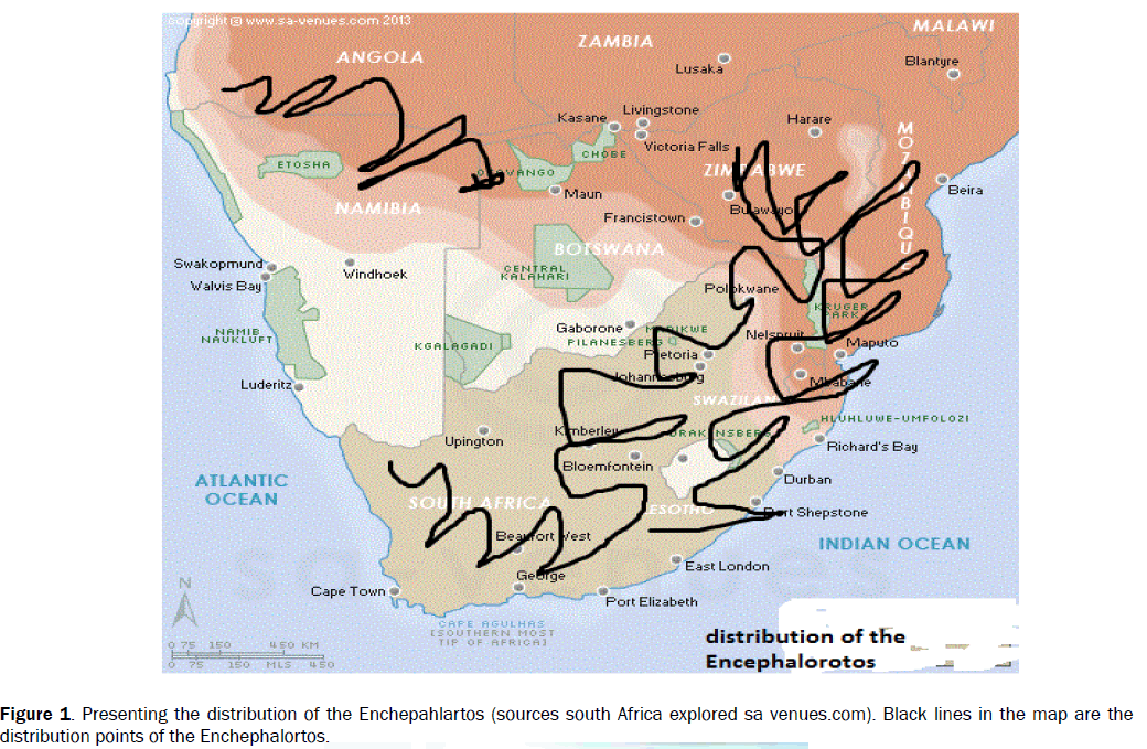 botanical-sciences-sources-south-africa