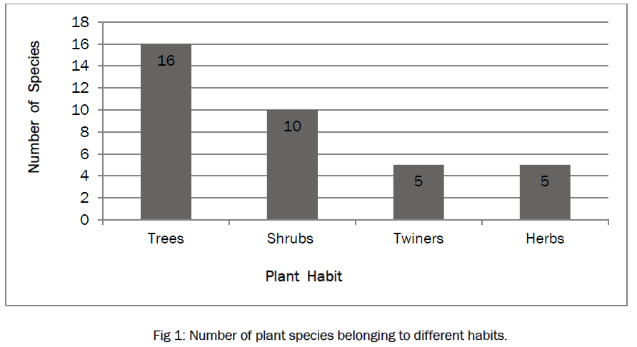 botanical-sciences-species-belonging