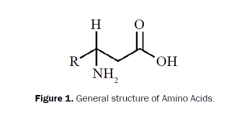 chemistry-Amino-Acids