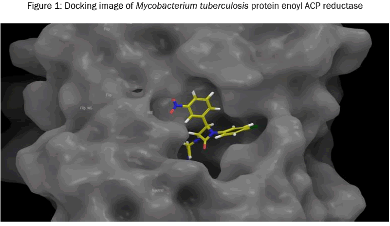 chemistry-Docking-image-Mycobacterium-tuberculosis